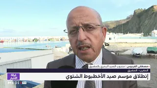 انطلاق موسم صيد الأخطبوط الشتوي بالمضيق دندنها