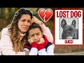 Download Lagu Our DOG IS MISSING!! HELP US FIND HIM.. | The Royalty Family