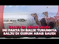 Lagu Ini Fakta di Balik Salju Tebal yang Tutupi Pegunungan Arab Saudi | OneNews Update