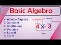 Basic Algebra understanding constant variable coefficient literal and terms in math