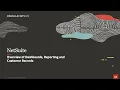 NetSuite Overview of Dashboards Reporting and Customer Records