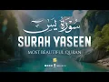 Relax Your Heart \u0026 Sleep Peacefully | Ultimate RELAXING Quran to Ease Your Soul | Zikrullah TV