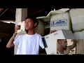 Download Lagu Video parody phyphone