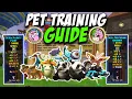 Wizard101 ULTIMATE Pet Training Guide