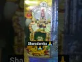 Lagu Sharadamba Maa 🙏 #sringeri #sharadadevi #devidarshan #navratrispecial #vlog
