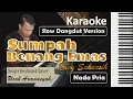 Download Lagu Sumpah Benang Emas | Karaoke Nada Cowok | Elvy Sukaesih | Slow Dangdut Version | SiKeCe | Lirik
