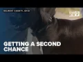 Correctional Institution offers inmates and dogs a second chance