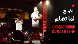 لايف الضبع لما تضلم دندنها