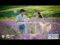 TWICE - The Feels / Lyrics