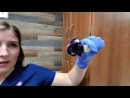 Wax Temperature For Hair Removal