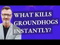 What kills groundhogs instantly