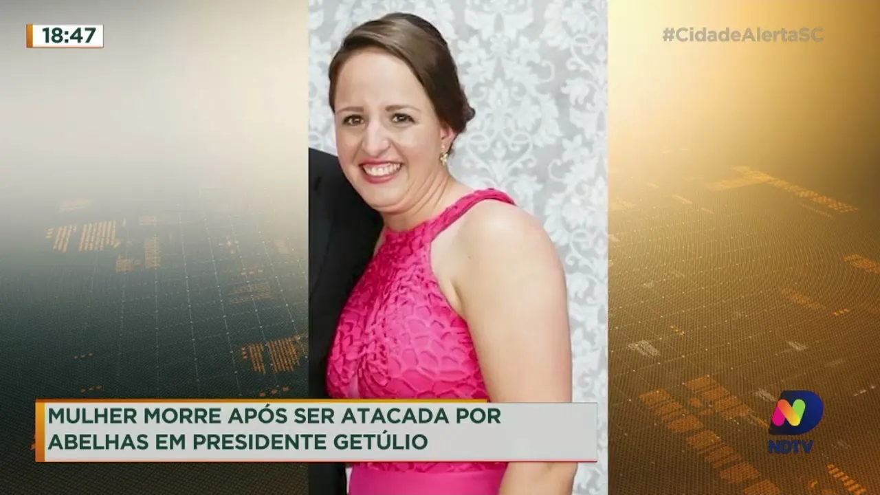 Mulher é morta após ser atacada por abelhas no Alto Vale do Itajaí