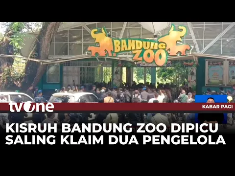 Saling Klaim sebagai Pihak yang Resmi Berhak Mengelola Bandung Zoo, Dua Pihak Baku Hantam