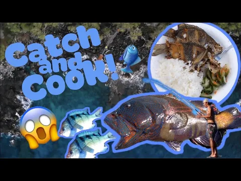 Download MP3 Solo Catch and Cook! Hawaii Adventure Big island Fishing | Hawaii vlog 24