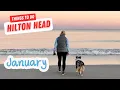 Things to do in Hilton Head in January