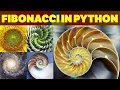 Learn Python Programming Create a Fibonacci Series