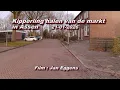 Lagu Kipperling halen van de markt in Assen 21 01 2026
