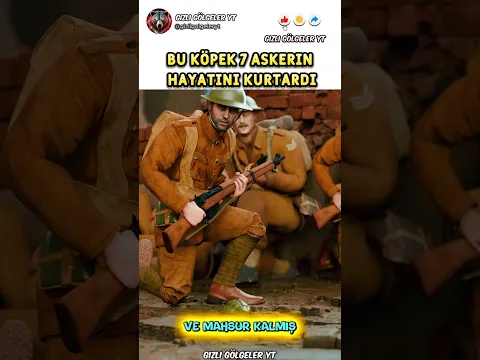 Bu Köpek 7 Askerin Hayatını Kurtardı! 😳