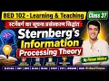 Sternberg s Theory of Intelligence Sternberg s Information Processing Theory By Pawan Mishra