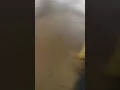 Small tornado aftermath Akron OH USA