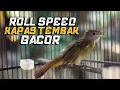 Download Lagu MASTERAN ROLL SPEED KAPAS TEMBAK GACORR!! KAPAS TEMBAK GACOR!!