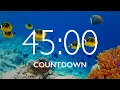 45 Minute Timer with Relaxing Music and Alarm