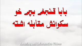 Squish Competition between Father and Son in Hazara Squish Complex