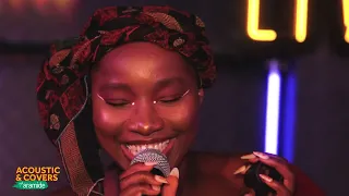 evelle acoustic and covers with aramide performance 