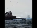 Whispers (Strings)