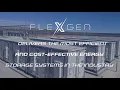What FlexGen Offers