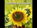 Delightful Meditation Rain Shower Sounds
