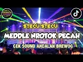 Download Lagu DJ CEK SOUND TERBARU 2025 NROTOK BASS KRUAK KRUAK AUDIO HOREG.