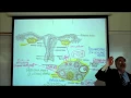 Download Lagu PHYSIOLOGY; THE MENSTRUAL CYCLE by Professor Fink