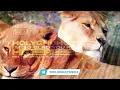 NEW SOUND: HOLYGHOST I AM SO GLAD YOU ARE HERE 🔥🔥🔥 || MIN. THEOPHILUS SUNDAY