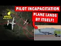 PILOT INCAPACITATED | Plane Auto-Lands and Saves His Life!