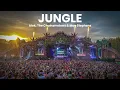 Alok, The Chainsmokers & Mae Stephens – Jungle | Remix | Festival Music