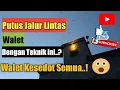 Menguji teknik putus jalur lintas walet pertama kali dan hasilnya....???