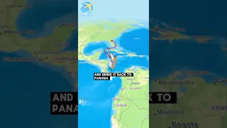 It’s always a whirlwind with our crew, balancing pet care and captain duties.  #sailingbyefelicia