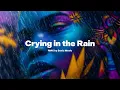 Lagu SONIC MUSIC - Cryng in the rain (Culture Beat - rmx)