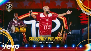 Turma do Pagode - Coleção / Palpite (Ao Vivo)