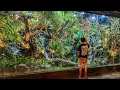 Download Lagu ROMBAK TOTAL AVIARY DI RUMAH OPA