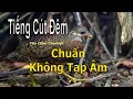 Download Lagu Tiếng Cút Đêm Chuẩn File Không Tạp Âm Mới Nhất 2025