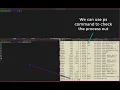 Linux rootkit to hide a PROCESS