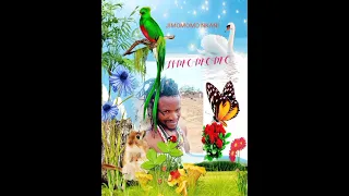 JIMOMOMO NKANI FT NGOBHO SENI KUMBUKUMBU 