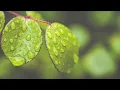 Download Lagu Relaxing Piano Music: Water Sounds, Sleep Music, Fall Asleep Fast, Relaxing Music ★89🍀