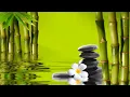 12 HOURS Relaxing Music with Water Sounds Meditation