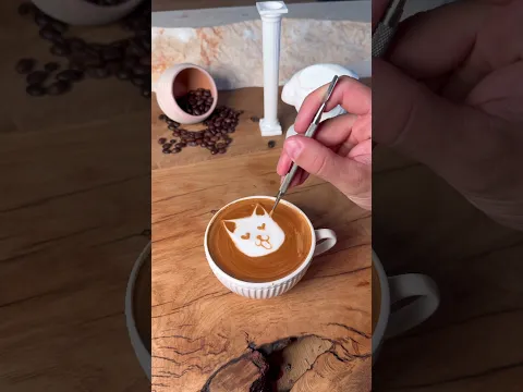 Cat on  coffee