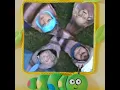 wormy