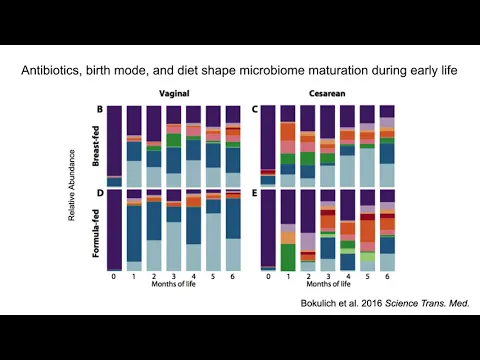 Longitudinal analyses