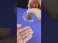 Free the Coin Puzzle